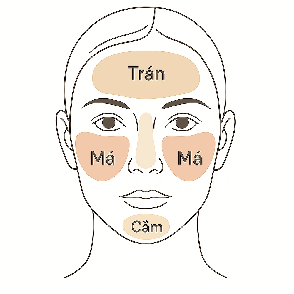Vị trí nám thường gặp trên mặt